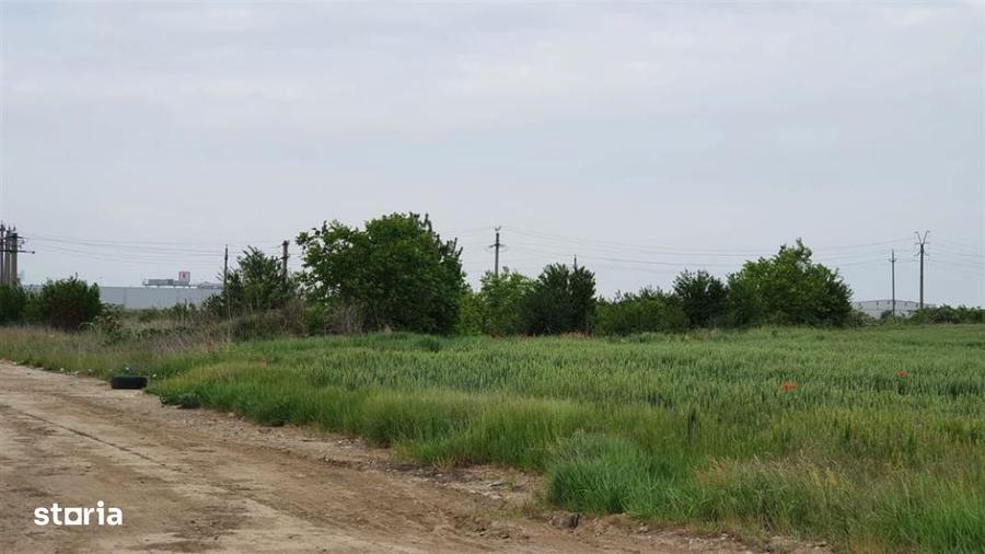 Teren de vanzare 38.500 mp, acces la centura Buftea - 5
