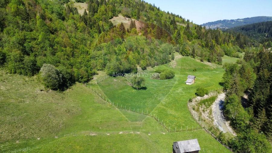 Teren 12,127mp Frasin / Drumul Forestier Valea Seaca