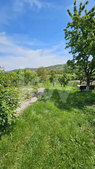 Casa cu poveste si potential locul perfect pentru un nou inceput in Seica Mare - 1