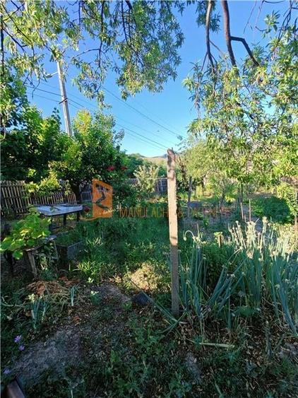 EXCLUSIVITATE! Casa+teren si cabana de lemn zona Naeni - 23