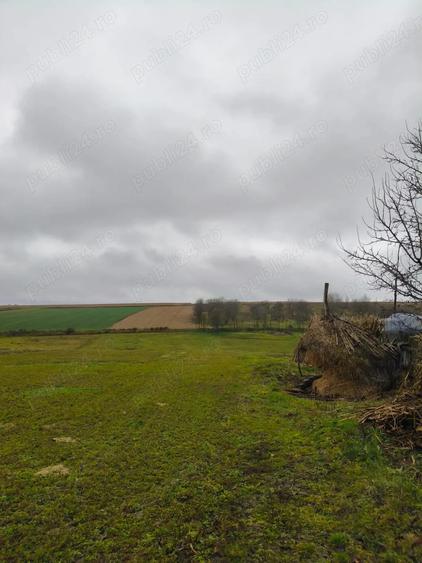 De vanzare gospodarie zona lini?tita, eco, com. Lespezi - 2