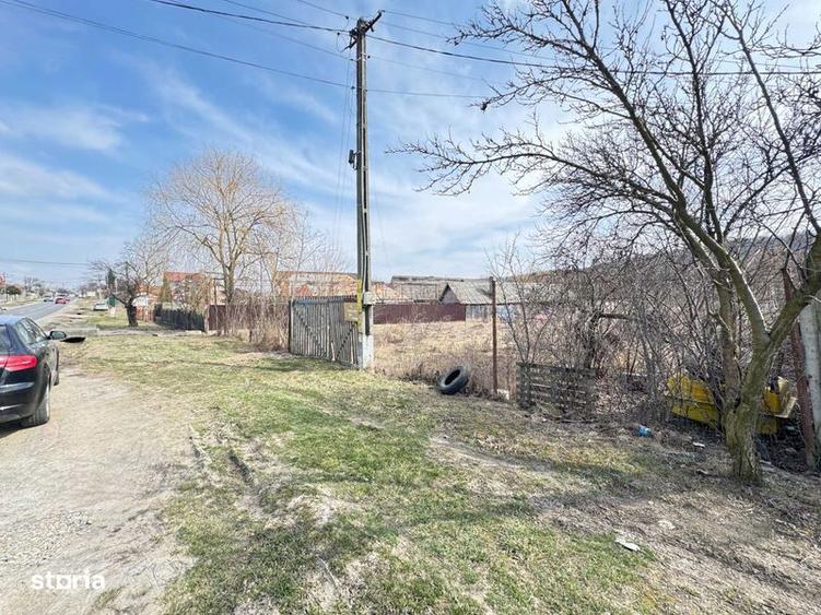 Teren intravilan la strada si padure in Traian - ocazie rara - 6