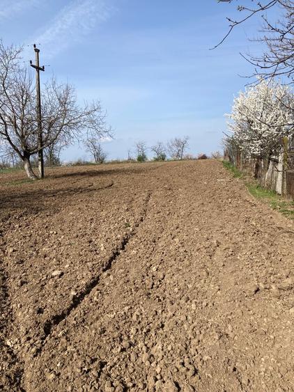 Casa traditionala de vanzare- Sauca, judetul Satu Mare - 5