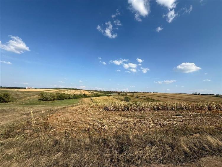 TEREN INTRAVILAN 2877 MP | DUBLU FRONT | CORDAU - 3