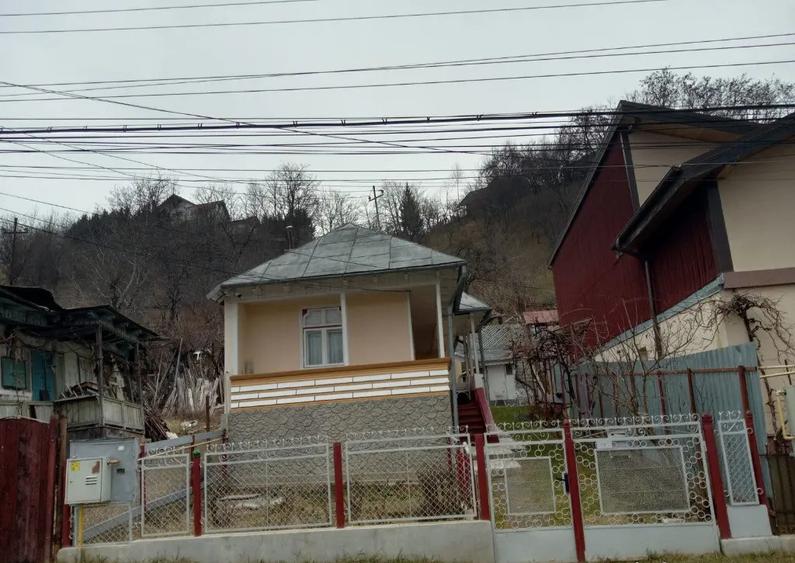 Valea Vie, casa 4 camere de vanzare - 1