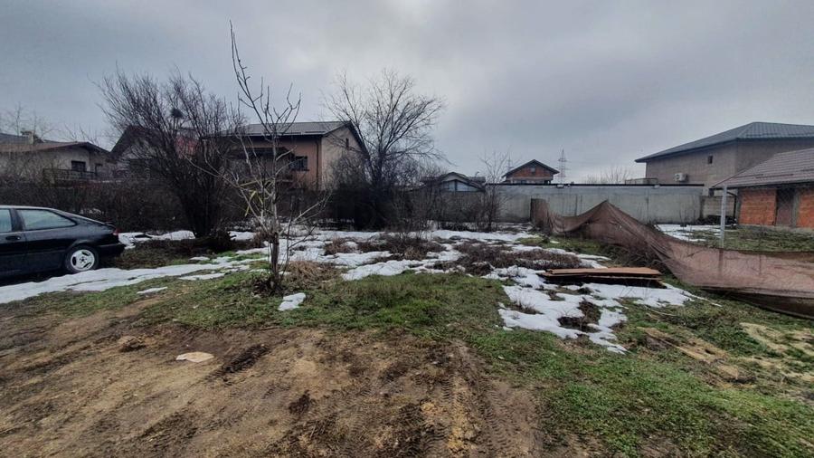 REL4001263 Teren 1000mp I De Vanzare I Cernica I Pantelimon - 4