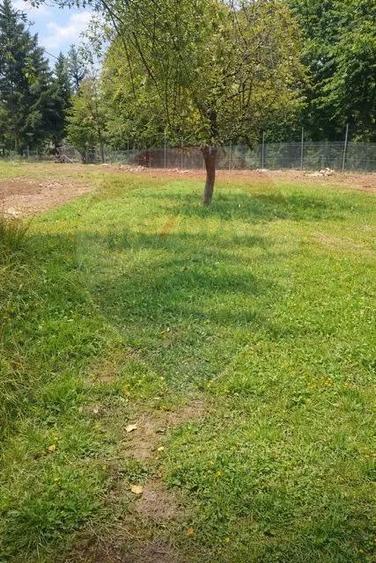 Casa traditionala+teren 9.035mp in Breb,Maramures - 3