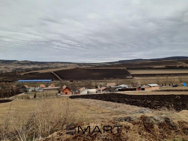 Teren extravilan 61000mp Daia Romana - Alba - 2