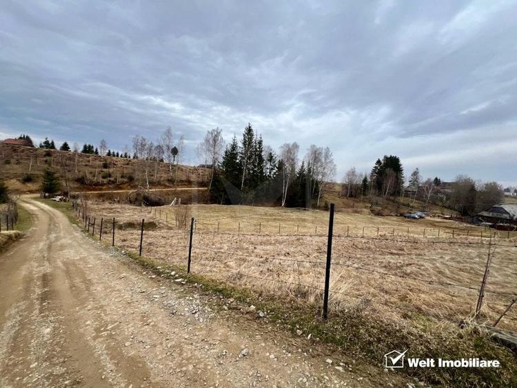 Teren pentru cabana, Risca, Valea Fericirii - 2