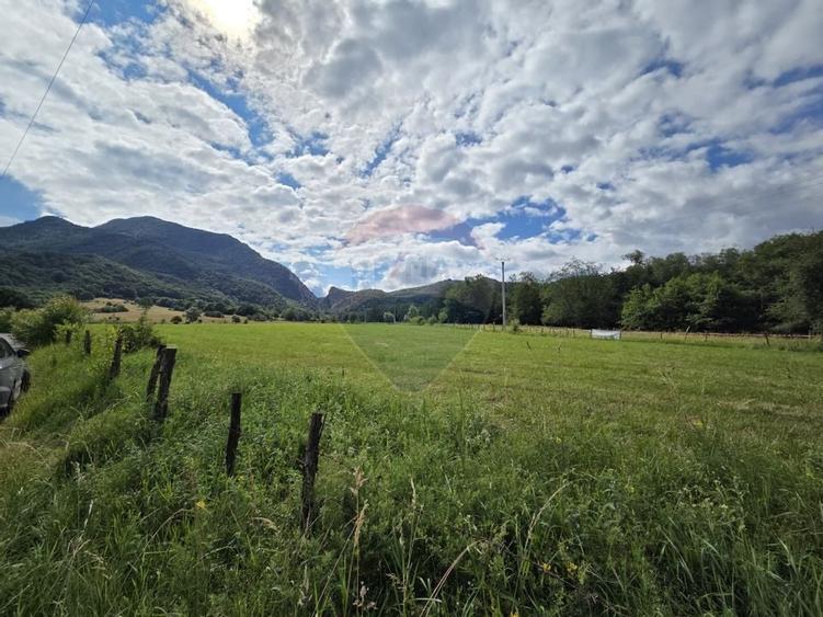 Teren de vanzare  Intravilan 19.341 mp - Cheile Rasnoavei, Parcelabil - 10