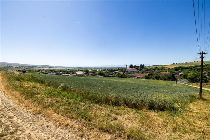 6 loturi casa Maierus,1.375mp,langa DN13, Doripesco,Brasov: 35min, zona verde:FI - 2