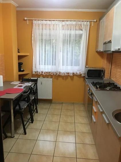 Apartament 2 camere, semidecomandat, 53 mp, balcon, ac, Teiul Doamnei - 6
