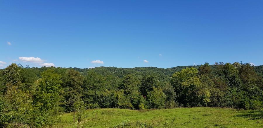 Teren intravilan Provita de jos(linga Breaza) PRAHOVA - 7