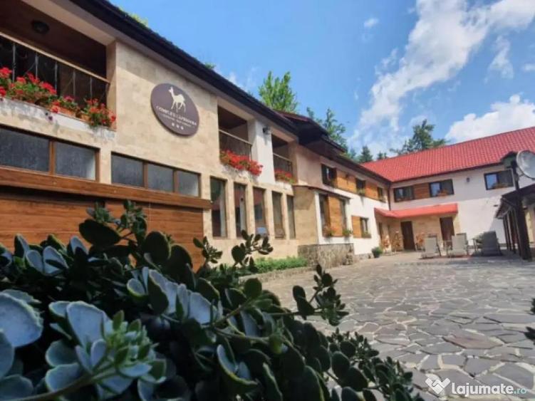 Pensiune de vanzare, 600 mp, pe malul lacului Firiza - 7