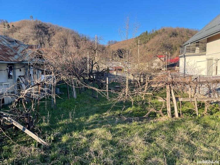 Teren+Casu?a rustica la poalele Ceta?ii Neam?ului - 1