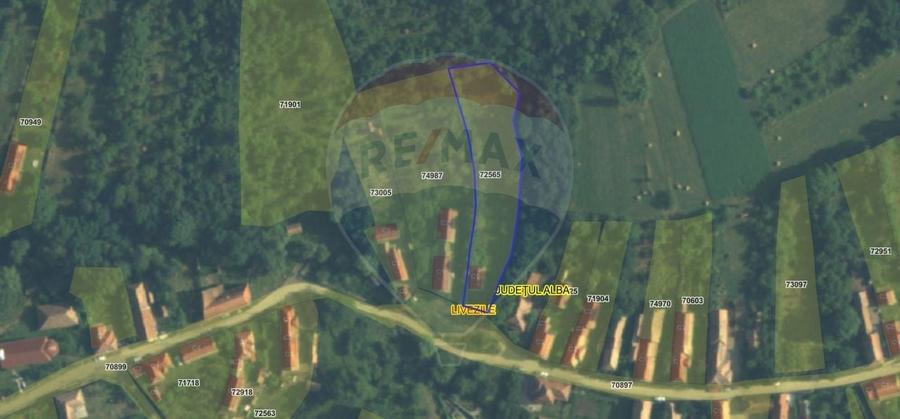 Casă din piatră la poalele Bedeleului – Izvoarele, Alba - 25