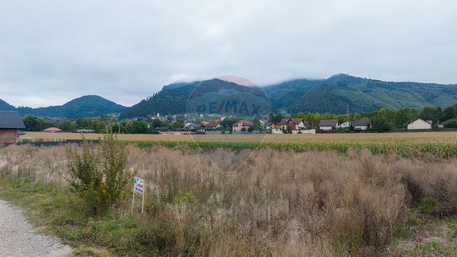 Un lot de casa intrare Sacele 790 mp - 7