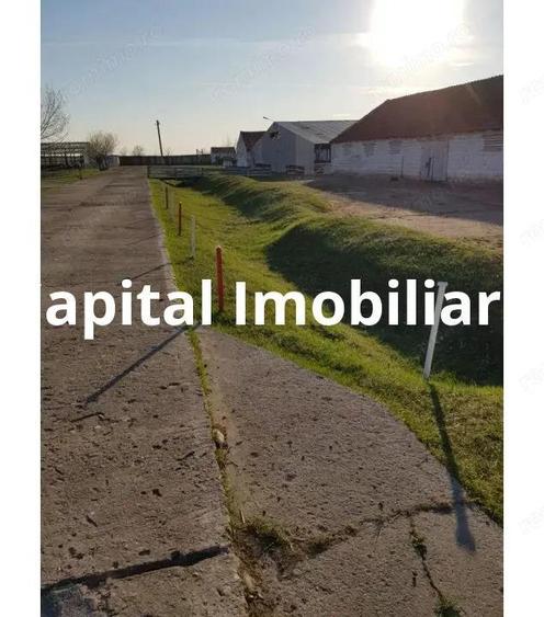 Ferma langa Oravita 5600 mp construiti si teren 24281 intravilan - 10