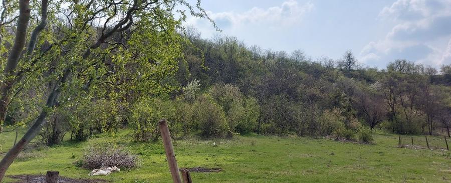 Teren intravilan 3109mp - 4