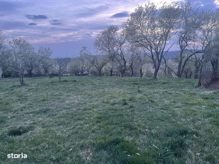 Teren Resita Extravilan Stema 24 Ianuarie Pret Negociabil - 10