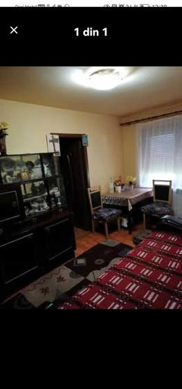 2camere Solidaritatii - 1