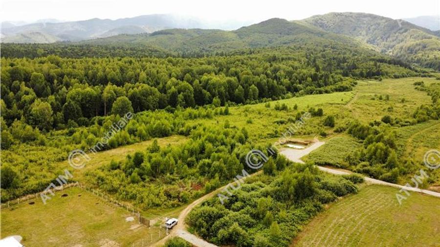 Teren Construcții intravilan de 3900 mp, în Porumbacu de Sus