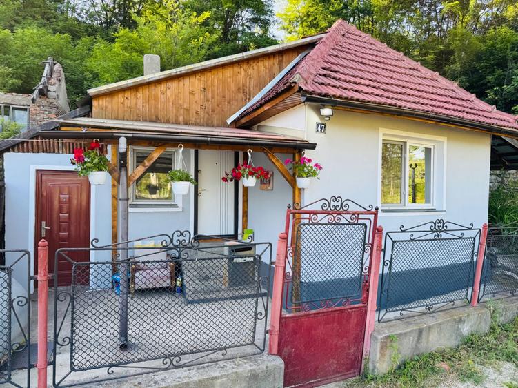 Se vinde casa de vacanta - 1