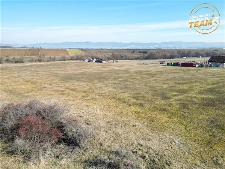 Film! Teren extravilan, Ciucului, Sfantu Gheorghe - 2