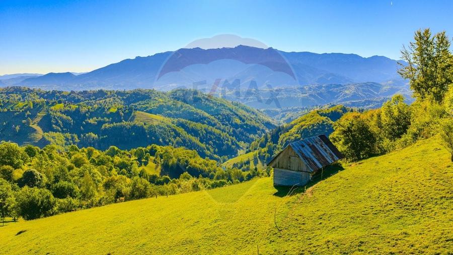 COMISION 0% Teren 10,594mp Pestera /Intravilan - 11