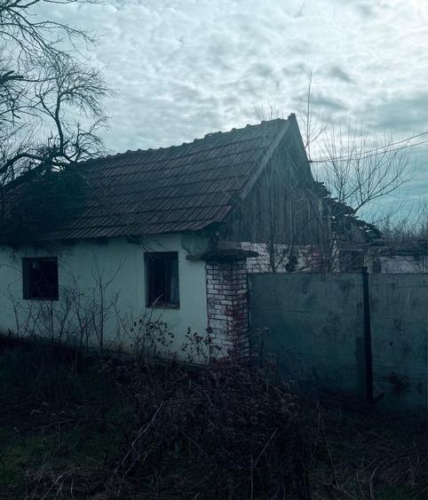 Casa de vanzare in sat Rapsig jud Arad cu 1400 m2 pamant - 4