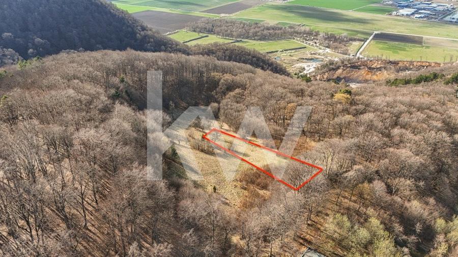 Cel mai mic pret din zona! Teren intravilan in zona Belvedere - 6