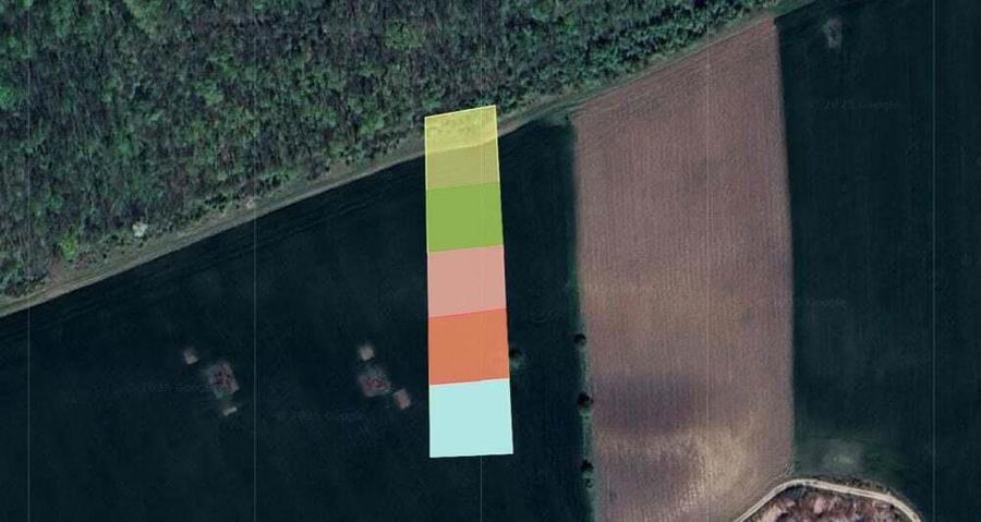 Lot 1000 mp in umbra padurii cu view la lacul academiei din Caciulati - 3