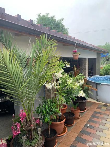 Vand Casa Noua,Finisata,Utilata - 4