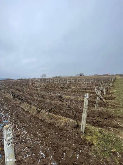 Teren ideal pentru dezvoltare 4.209mp, Chicerea, Comuna Tomesti - 4