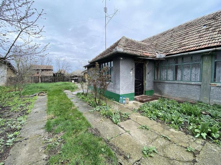 Casa si Teren generos 2.769 mp Sanmartinu Maghiar - 6