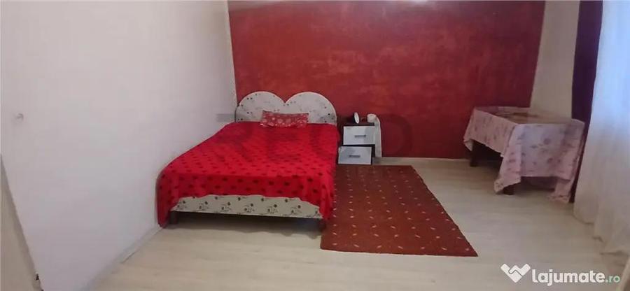 RECO Casa la tara intr-o zona pitoreasca, la 28km de Oradea - 3