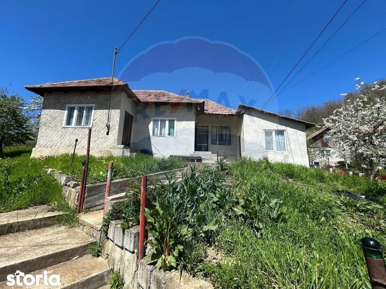 Casa bunicilor de vanzare. - 20