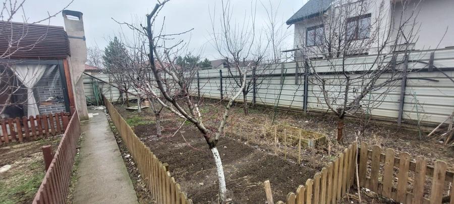 Se vinde casa, hala cu panouri solare, teren, zona Branesti-Pasare - 4