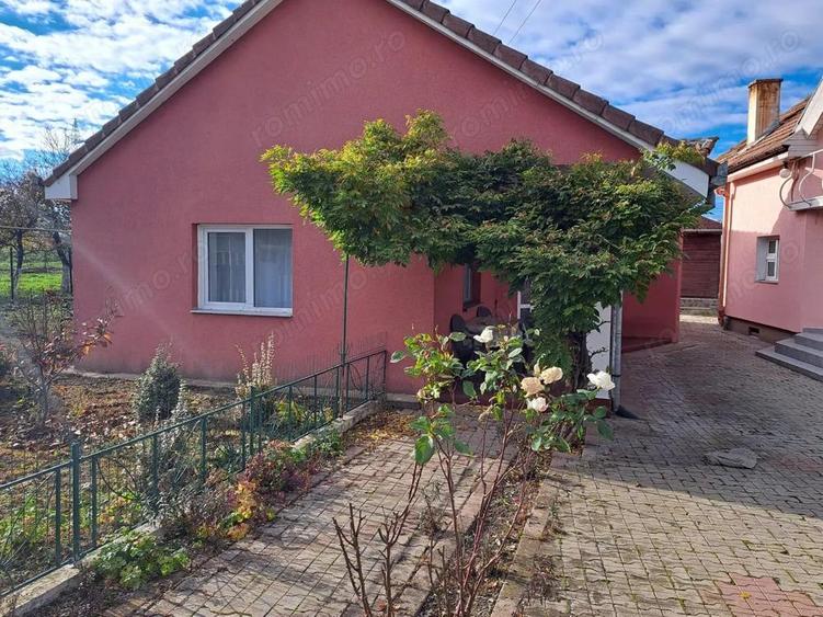 OFERTA in Bacia, Hunedoara ! Proprietate 2 case + Cabana + Livada - 9