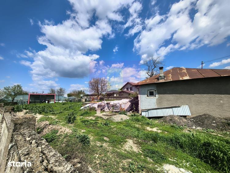 Teren de 975 mp, în Cernica