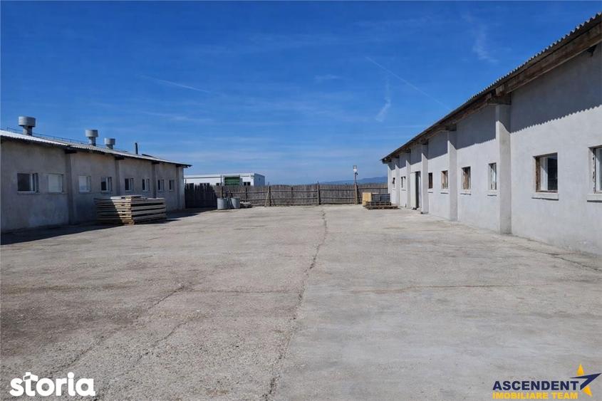 Hala industriala versatila,spatii cazare, platforma betonata,Halchiu,B - 2