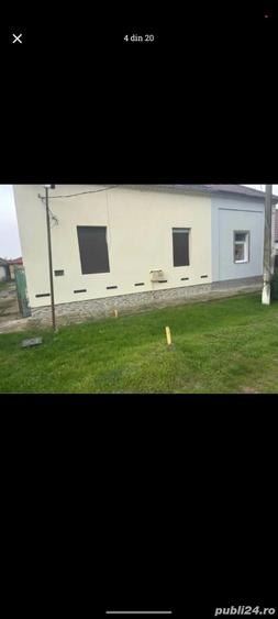Casa de vinzare Peciu Nou - 3