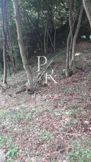 Teren de vanzare 10.000 mp/ parcelabil, cu utiitati, 4 euro/ mp! Maguri Racatau! - 2