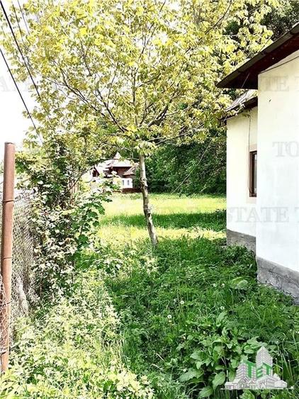 VIla 5 camere + casa rustica 4 camere, teren 5699 mp, ideal pentru investie turi - 10