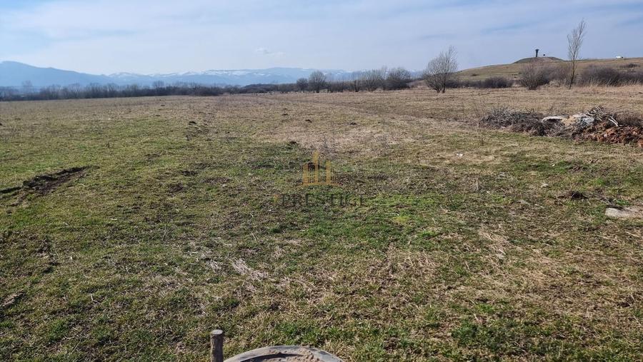 FĂRĂ COMISION | TEREN 1000 MP ȘELIMBĂR ZONA TROIȚĂ | INVESTIȚIE - 11