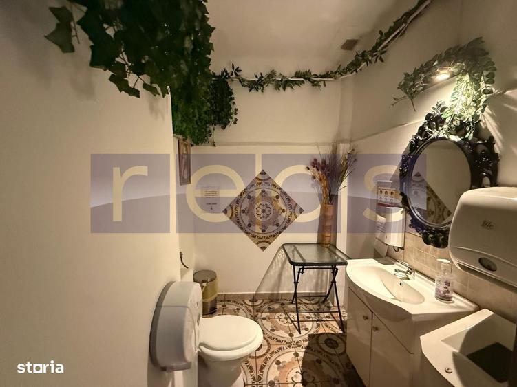 VANZARE VILA PONTENTIAL BUSINESS | ZONA DRISTOR BABA NOVAC | D+P+1E+M - 7