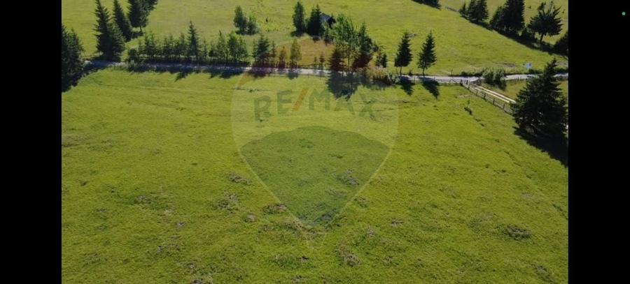 Teren 19,370mp Neagra Sarului / Strada Sestina - 14