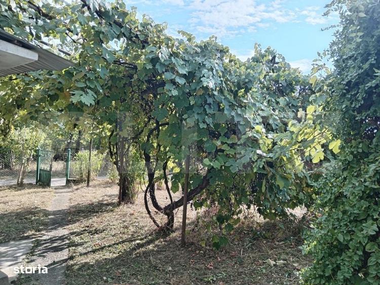 Casă cu 3 camere în Vinerea