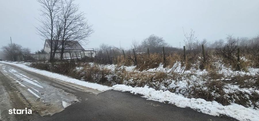 Exclusivitate MAG Invest Teren 2300 mp Vanatori, ideal investitie - 2