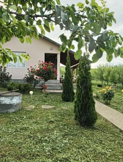 Casa de vacan?a in Ludu? (zona Candarai) loca?ie excelenta intre Cluj-Napoca ?i Targu-Mure? - 8